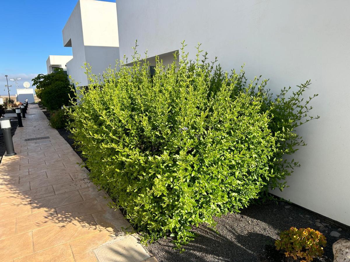 Villaverde Casilla De Costa, La Oliva公寓 外观 照片